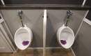17-6-stall-spa